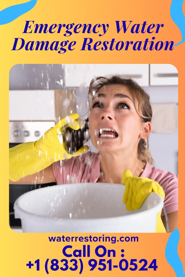 Emergency Water Damage Restoration in Ives Estates, FL