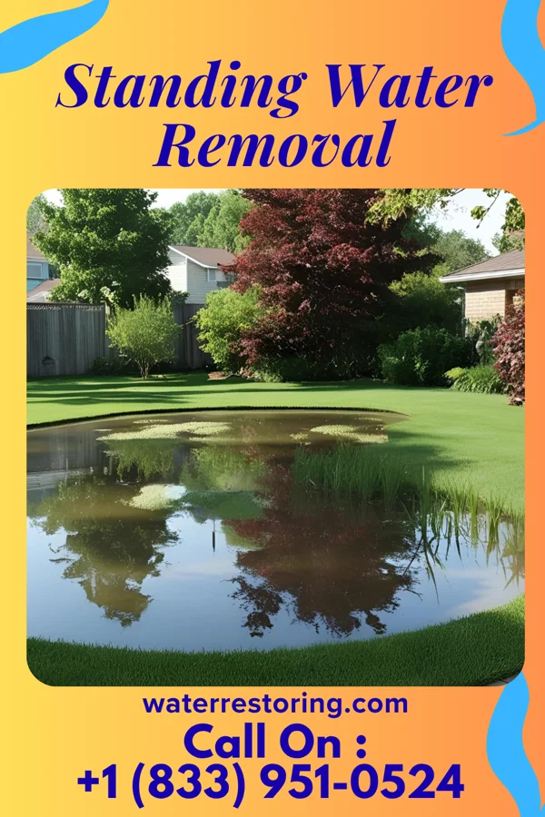 Standing Water Removal in Ives Estates, FL